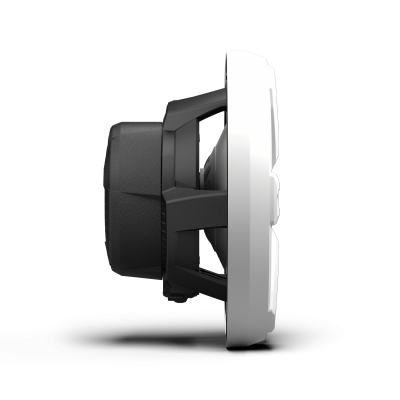 Rockford Fosgate M2 10" DVC 2Ω Color Optix Sealed Marine Subwoofer: White Gen-2 - M2D2-10S-G2